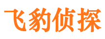 紫金市侦探调查公司